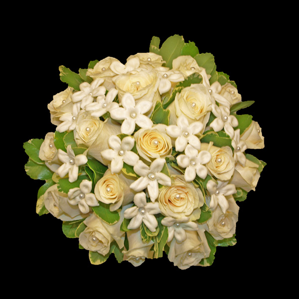 Pearlized Steph