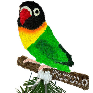Lovebird