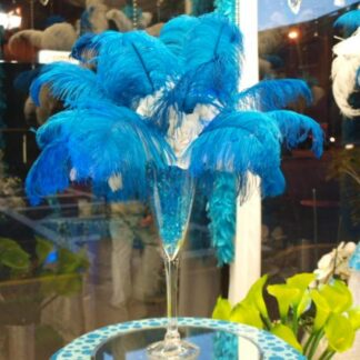 Blue Ostrich Splendor