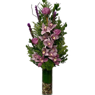Pink Orchid Bloom