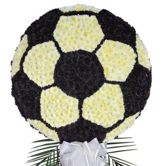 Soccer Ball