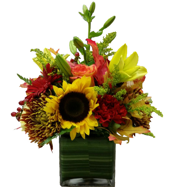 Autumn Harvest