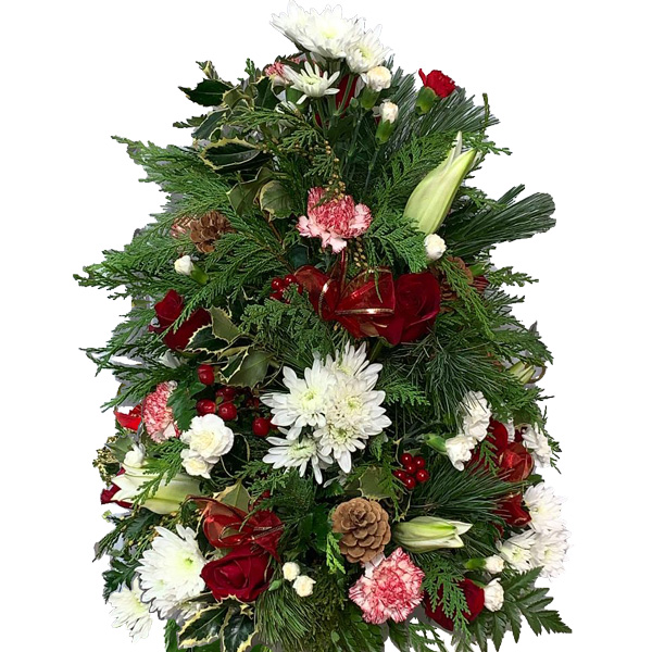 Holly Tree