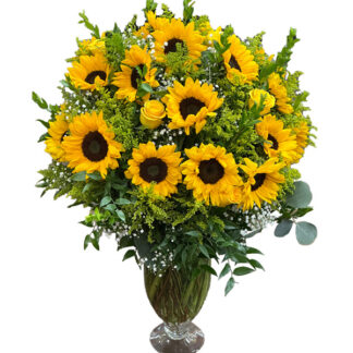 Sunflower Extravaganza